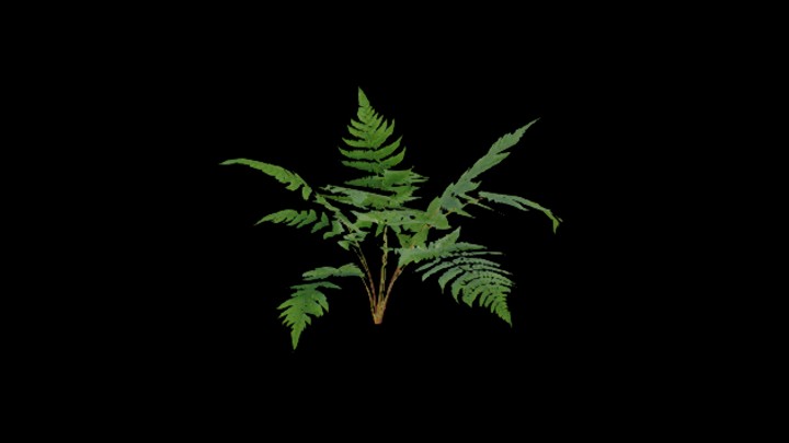 UE项目资源_模型资源_草842