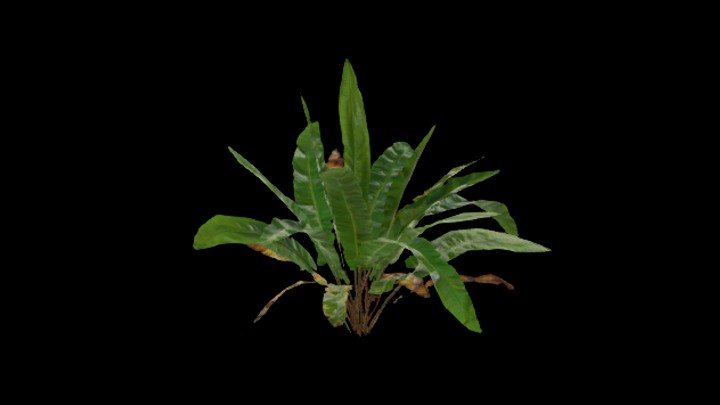 UE项目资源_模型资源_草847