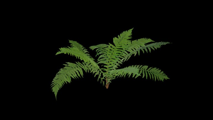 UE项目资源_模型资源_草850