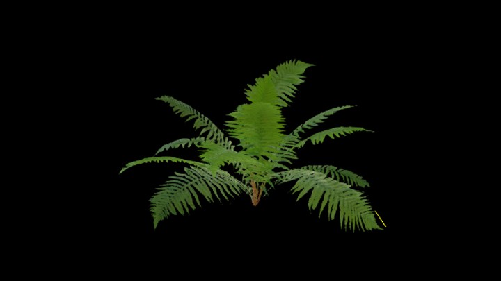 UE项目资源_模型资源_草852