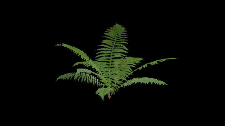 UE项目资源_模型资源_草853