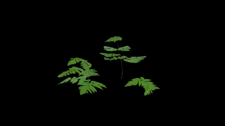 UE项目资源_模型资源_草854