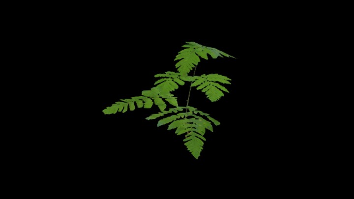 UE项目资源_模型资源_草855