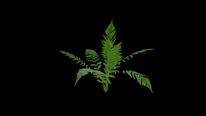 UE项目资源_模型资源_草869