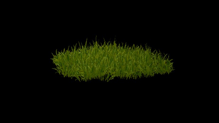 UE项目资源_模型资源_草892