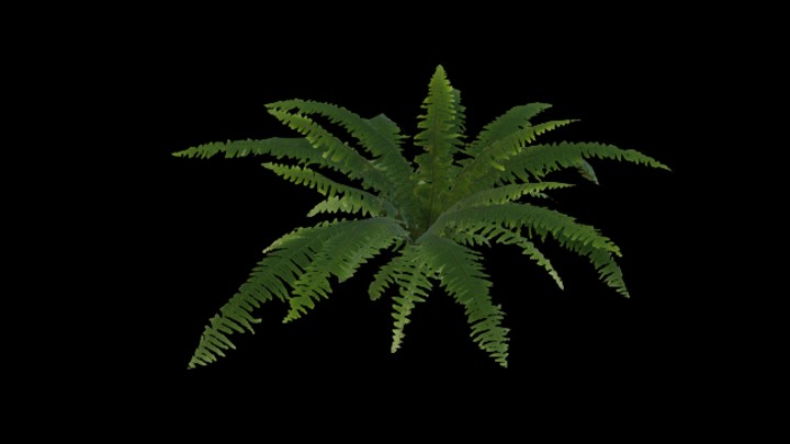 UE项目资源_模型资源_草936