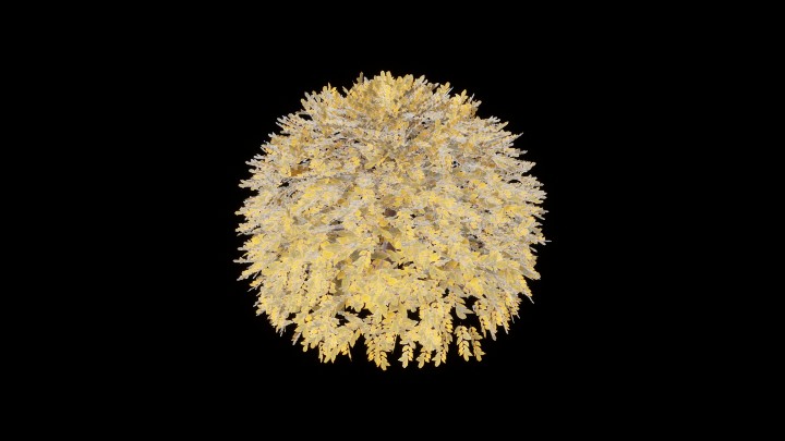 UE项目资源_模型资源_草丛005