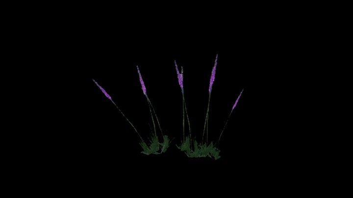 UE项目资源_模型资源_草本植物059