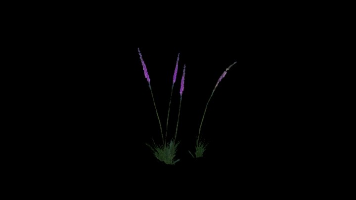 UE项目资源_模型资源_草本植物060