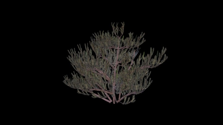 UE项目资源_模型资源_草本植物087