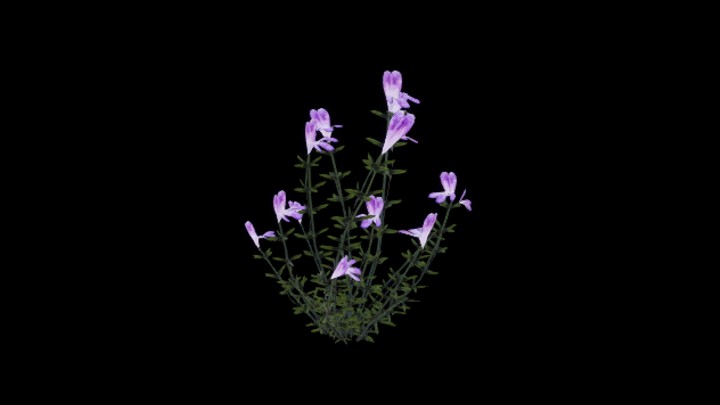 UE项目资源_模型资源_草本植物100