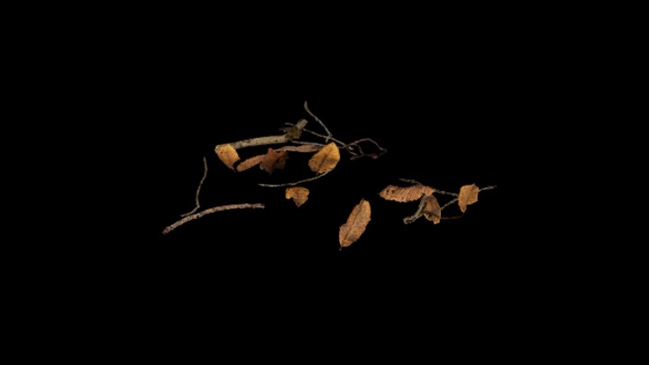 UE项目资源_模型资源_落叶015