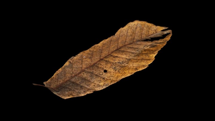 UE项目资源_模型资源_落叶023