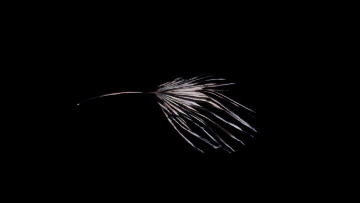 UE项目资源_模型资源_落叶027