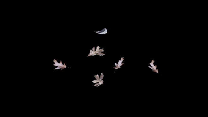 UE项目资源_模型资源_落叶048