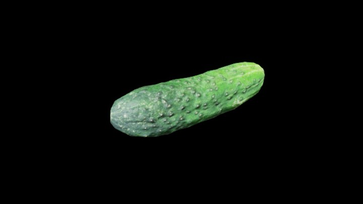 UE项目资源_模型资源_蔬菜085