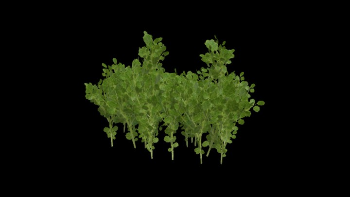 UE项目资源_模型资源_蔬菜092