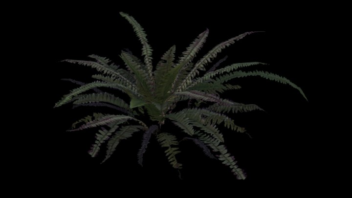 UE项目资源_模型资源_蕨草002