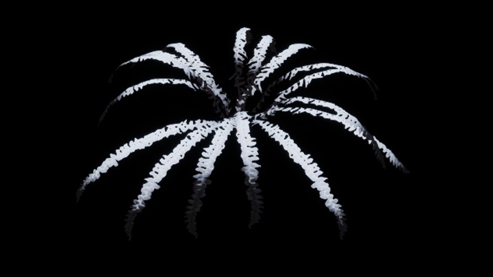 UE项目资源_模型资源_蕨草007