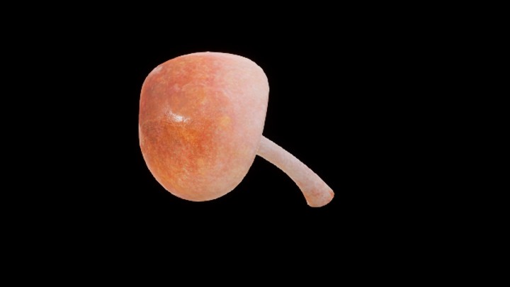 UE项目资源_模型资源_蘑菇188