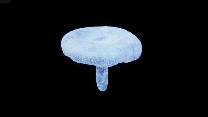 UE项目资源_模型资源_蘑菇195