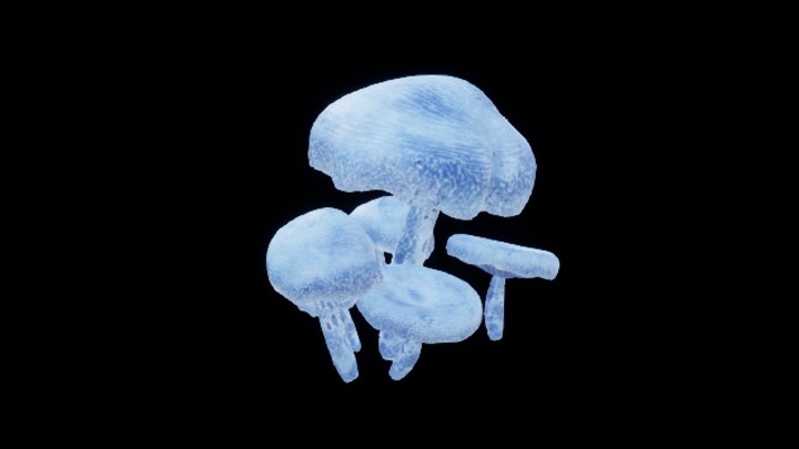 UE项目资源_模型资源_蘑菇196