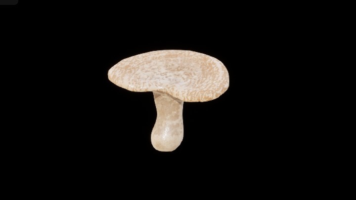 UE项目资源_模型资源_蘑菇205