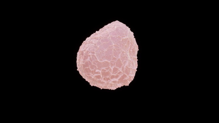 UE项目资源_模型资源_蘑菇213