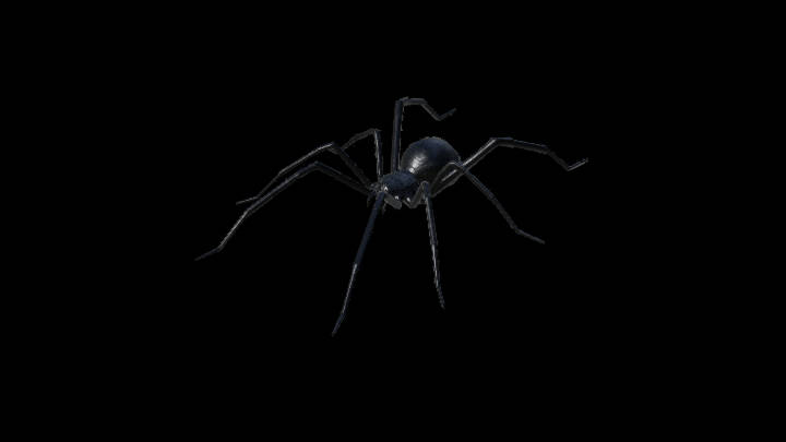 UE项目资源_模型资源_蜘蛛001