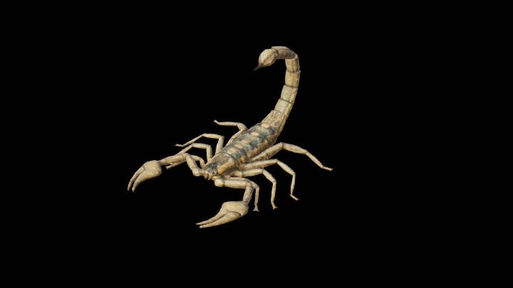 UE项目资源_模型资源_蝎子001