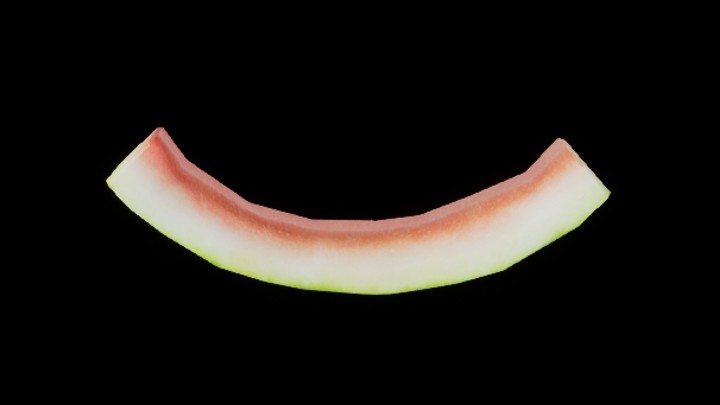 UE项目资源_模型资源_西瓜020