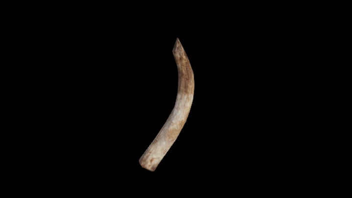 UE项目资源_模型资源_象牙002