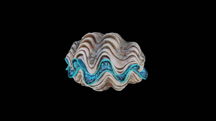 UE项目资源_模型资源_贝壳013