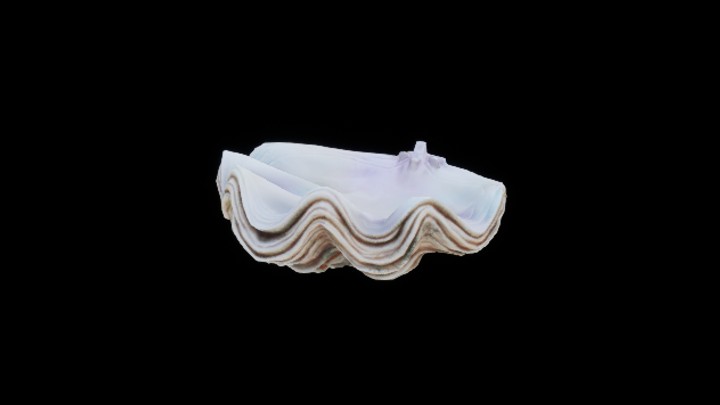 UE项目资源_模型资源_贝壳018