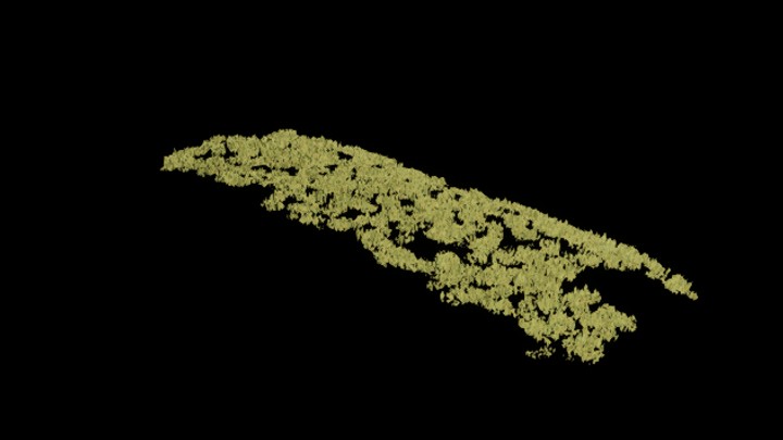 UE项目资源_模型资源_青苔011