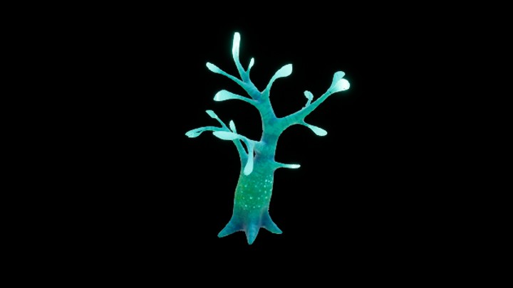 UE项目资源_模型资源_风格化植物051