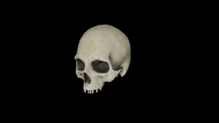 UE项目资源_模型资源_骨头050