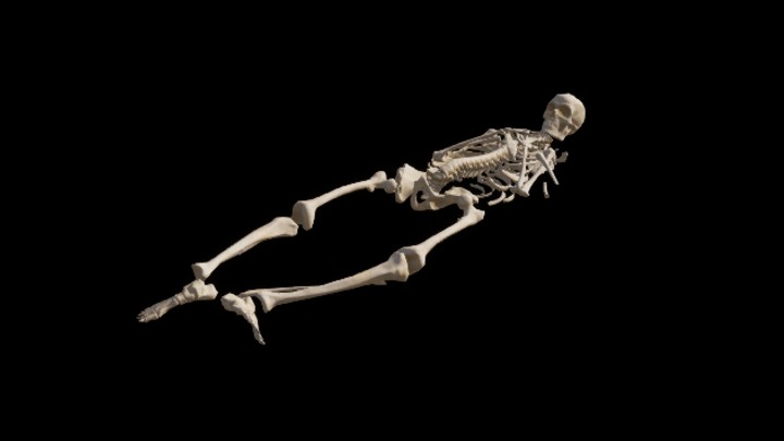 UE项目资源_模型资源_骨骼036