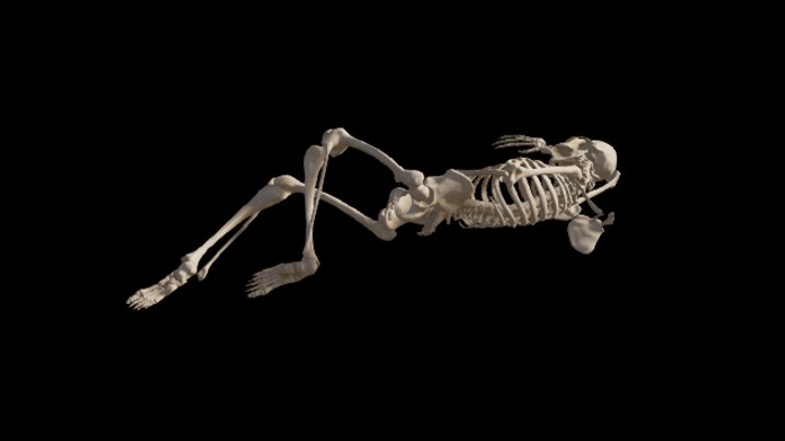 UE项目资源_模型资源_骨骼043