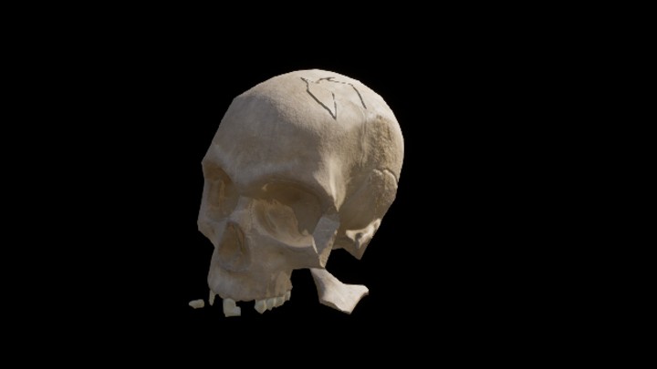 UE项目资源_模型资源_骨骼048