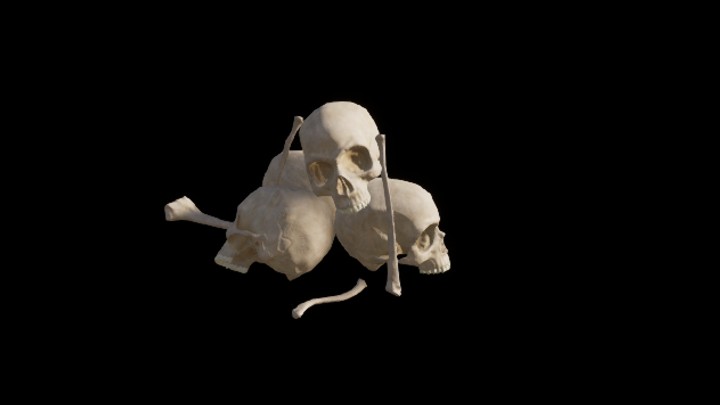 UE项目资源_模型资源_骨骼056