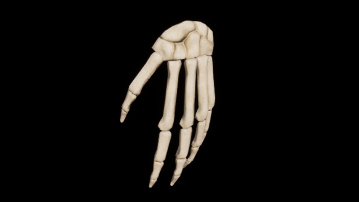 UE项目资源_模型资源_骨骼069