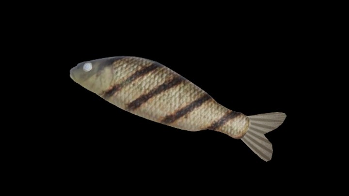 UE项目资源_模型资源_鱼032