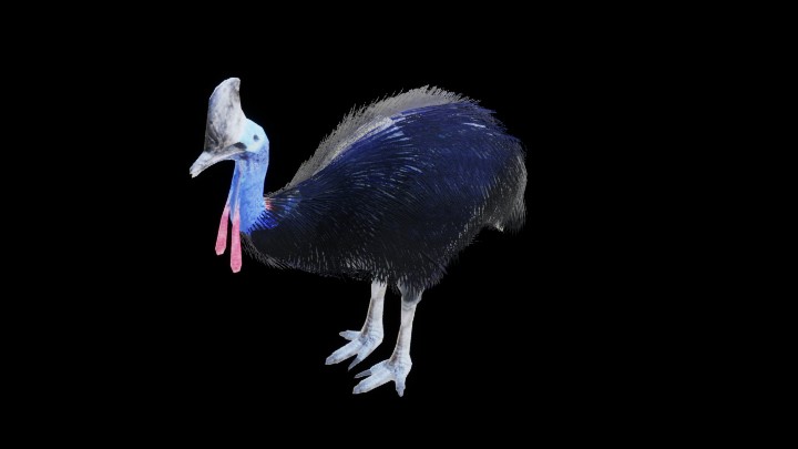 UE项目资源_模型资源_鸟003