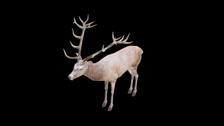 UE项目资源_模型资源_鹿003