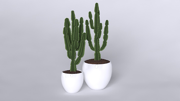渲染模型_仙人掌003