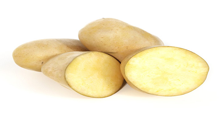 渲染模型_土豆001