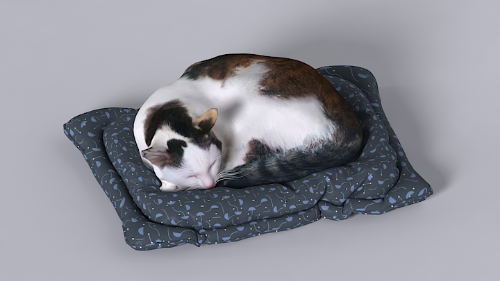 渲染模型_宠物001