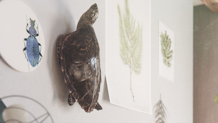 渲染模型_客厅装饰001