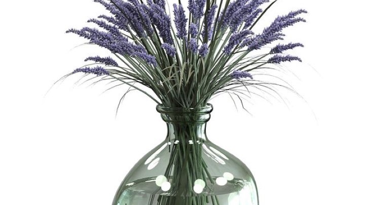 渲染模型_室内插花植物002